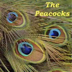 The Peacocks Song Lyrics