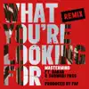 What You're Looking for (Remix) - Single [feat. Rakaa & Shomori Pass] - Single album lyrics, reviews, download