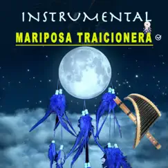 Mariposa traicionera Song Lyrics