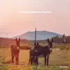 A Thousand Miles from Nowhere - Single album lyrics, reviews, download
