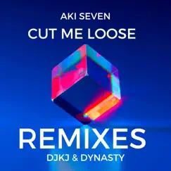 Cut Me Loose (KJ & Dynasty Remix Hyper Pop Breaks Mix) Song Lyrics