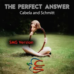 The Perfect Answer (Smg Version) Song Lyrics
