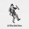 VI SKA INTE HEM - Single album lyrics, reviews, download