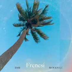 Frenesí (feat. Woods LC) Song Lyrics