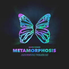 Metamorphosis (Acoustic Version) Song Lyrics