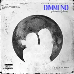 Dimmi No (Acoustic Version) - Single by Joey Borea & Stillie Wonder album reviews, ratings, credits