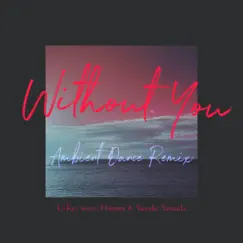 Without You (Ambient Dance Remix) - Single by U-Key zone, Hiromi & Yusuke Yamada album reviews, ratings, credits