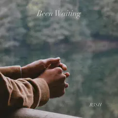 Been Waiting - Single by R3SH album reviews, ratings, credits