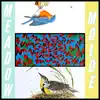 Meadow Molde - Single album lyrics, reviews, download