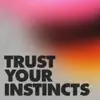 Trust Your Instincts - Single album lyrics, reviews, download