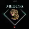 Medusa (feat. WasaVi) - Single album lyrics, reviews, download