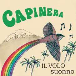 Il volo / Suonno - Single by Capinera album reviews, ratings, credits