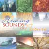 Healing Sounds of Nature album lyrics, reviews, download