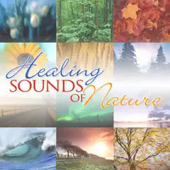 Healing Sounds of Nature by Eric Bernard & John Bickerton album reviews, ratings, credits