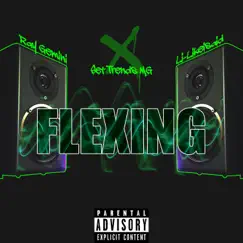 Flexing (feat. Ray Gemini, Li-Likeisaid & Harlz) - Single by Set Trends MG album reviews, ratings, credits