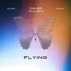 Flying song lyrics
