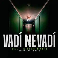 Vadí Nevadí Song Lyrics