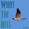 What the Hell - Single album lyrics, reviews, download