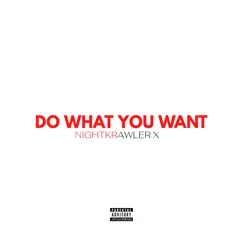 Do What You Want - Single by Nightkrawler X album reviews, ratings, credits