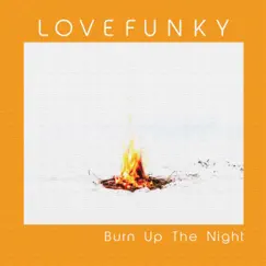 Burn Up the Night - Single by Lovefunky album reviews, ratings, credits
