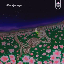 Star Sign Saga - Single by AM3Y & S-ilo album reviews, ratings, credits