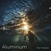 Aluminum - Single album lyrics, reviews, download