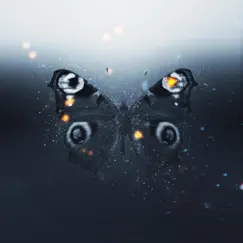 Butterfly Song Lyrics