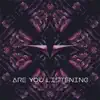 Are You Listening (feat. WithoutMyArmor) - Single album lyrics, reviews, download