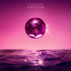 Purple Sun - Single by Cannons album reviews, ratings, credits