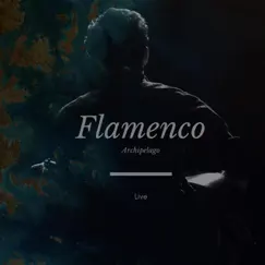 Flamenco (Live) - Single by Archipelago album reviews, ratings, credits