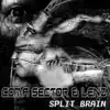 Split Brain album lyrics, reviews, download