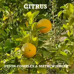 Citrus Song Lyrics