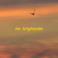 Mr. Brightside - Slowed + Reverb - Single by Omgkirby album reviews, ratings, credits