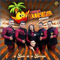 El Baile De La Barriga by Marea Musical album reviews, ratings, credits