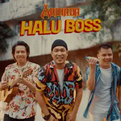 Halu Boss Song Lyrics