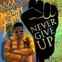 Never Give Up - Single by Destiny Boy album reviews, ratings, credits