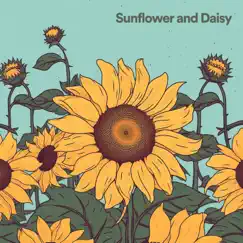 Sunflower and Daisy by Ambient Music Collective album reviews, ratings, credits