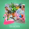Te Gusta (feat. Guydo) - Single album lyrics, reviews, download