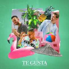 Te Gusta (feat. Guydo) - Single by Marlon Galvao & Masquraid album reviews, ratings, credits