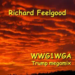 Wwg1Wga Trump Megamix Song Lyrics