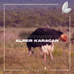 Ignorance - Single by Alper Karacan album reviews, ratings, credits