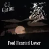 Fool Hearted Lover - Single album lyrics, reviews, download