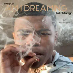 Am I Dreaming (feat. Redsnappa) - Single by DJ Big Cup & Talkofchicago album reviews, ratings, credits