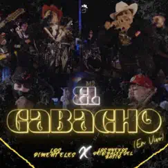 El Gabacho - Single by Los Pimenteles & Los Nuevos Originales Del Bajio album reviews, ratings, credits
