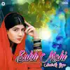 Sukh Mahi Naal Le Gaya album lyrics, reviews, download