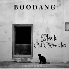 Black Cat Chronicles Song Lyrics