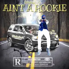 Ain’t a Rookie Song Lyrics