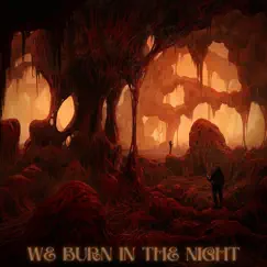 We Burn in the Night - Single by Anitek album reviews, ratings, credits