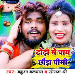 Dhodhi Me Chay Chhauda Pimi Song Lyrics