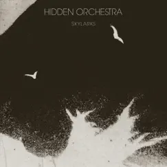 Skylarks - Single by Hidden Orchestra album reviews, ratings, credits